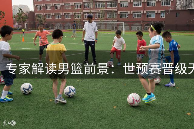 专家解读男篮前景：世预赛晋级无忧 奥运之路需借力归化