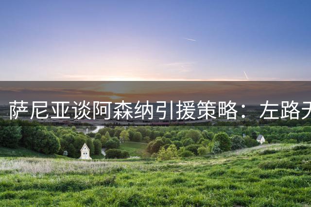 萨尼亚谈阿森纳引援策略：左路无需补强，现有阵容足够